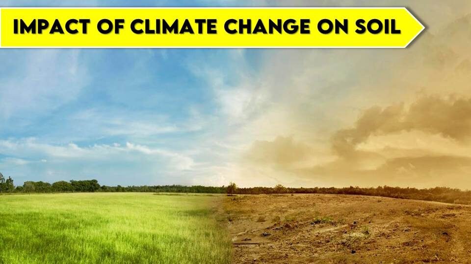 impact of climate change on soil