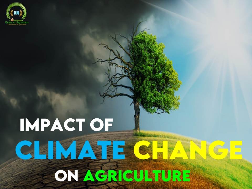 impact of climate change on agriculture