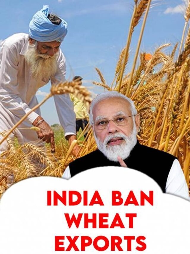 India Ban Wheat Export