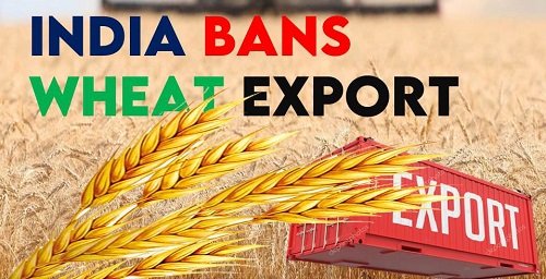 India ban wheat export | wheat production in india 2022