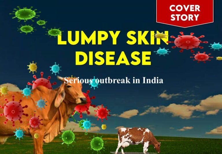 Lumpy skin Disease