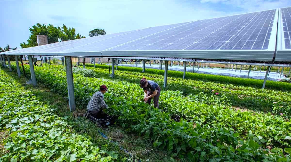 source: Jack’s Solar Farm – Photo by Werner Slocum: NREL