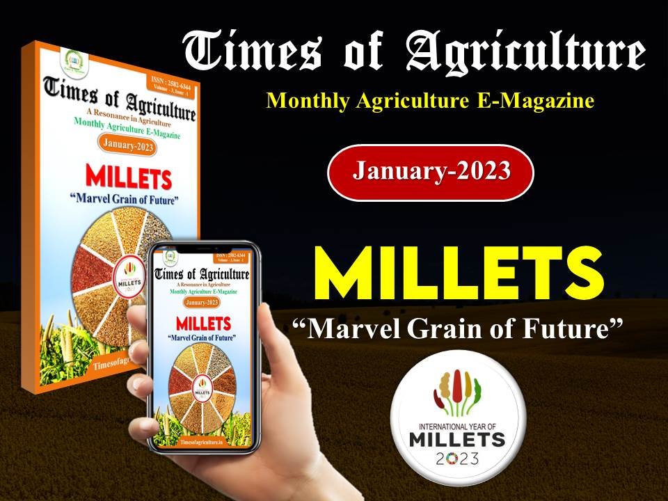 MILLET - TIMES OF AGRICULTURE MAGAZINE
