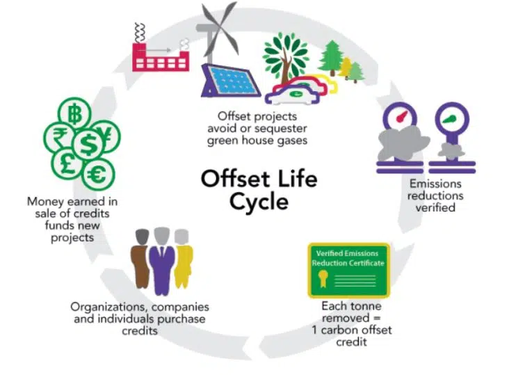 Figure 2: The Carbon Credit Lifecycle (source carboncredits.com)