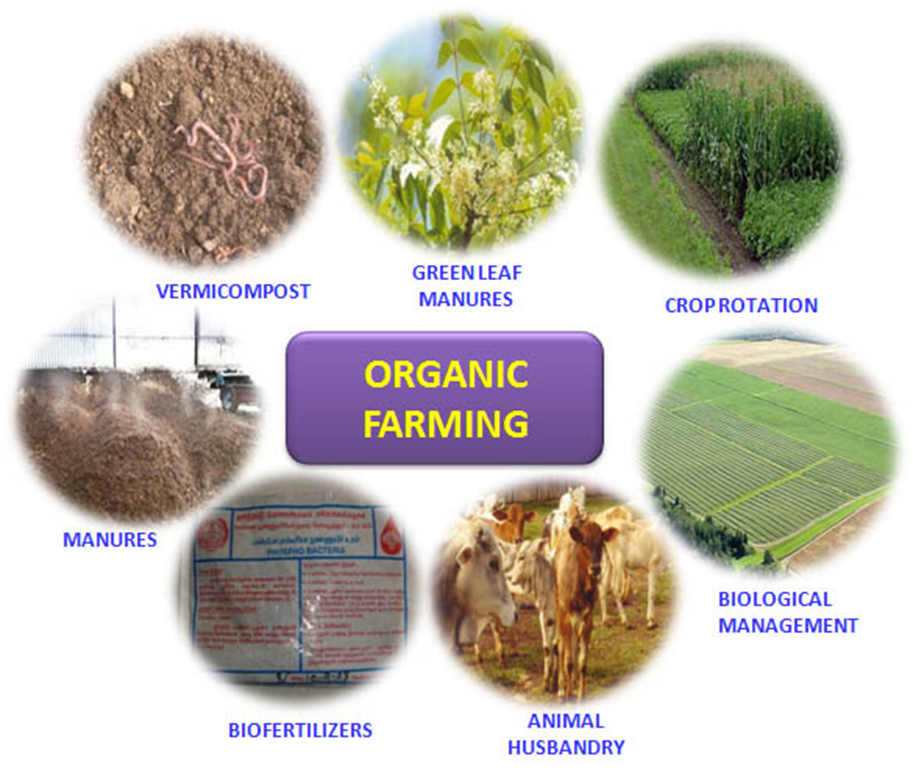 Organic farming