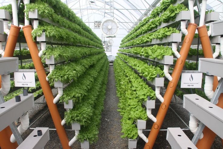 How Vertical farming works?