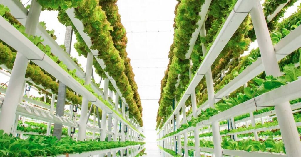 How Vertical farming works?