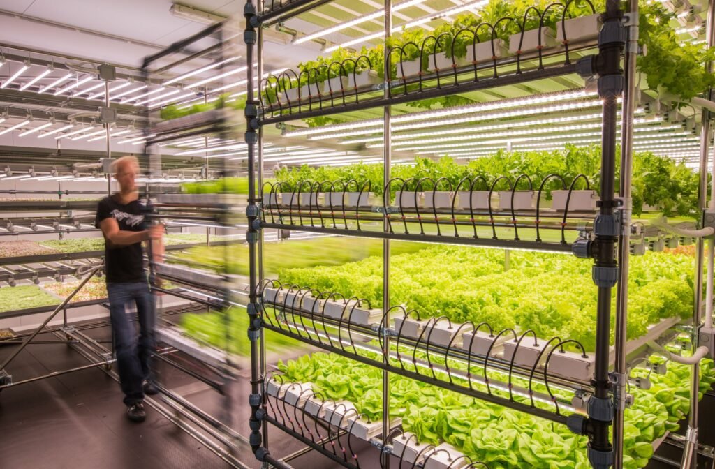 How does Vertical farming work