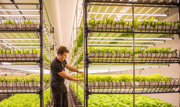 How Vertical farming works?