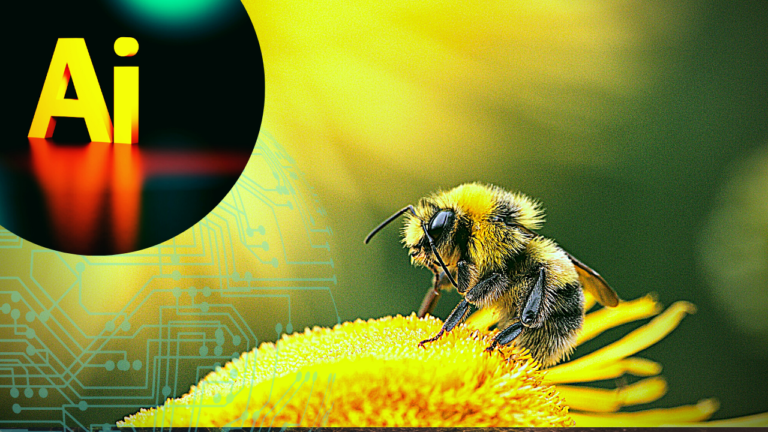 Artificial intelligence (AI) a Game-Changing Role in Bee Tracking for Farmers. picture source: Photo by Jackson Sophat and Dmitry Grigoriev on Unsplash