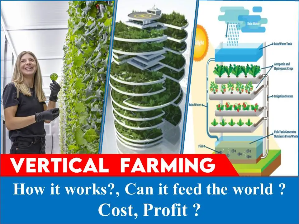 how vertical farming works