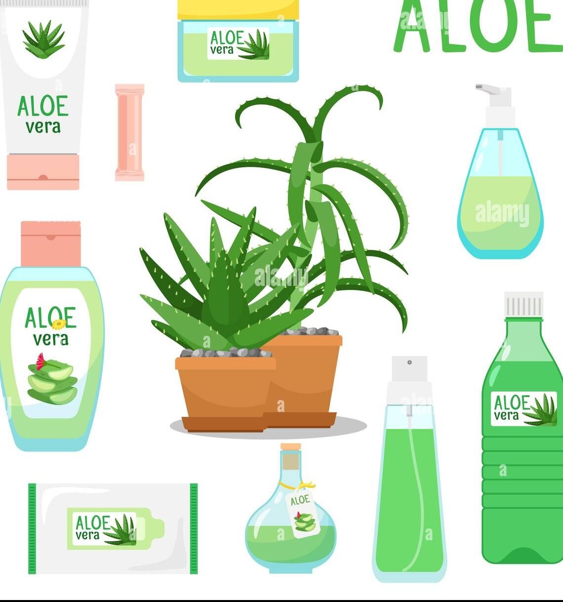 Is Aloe-vera farming profitable?