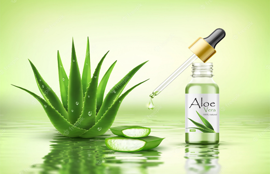 Is Aloe-vera farming profitable?