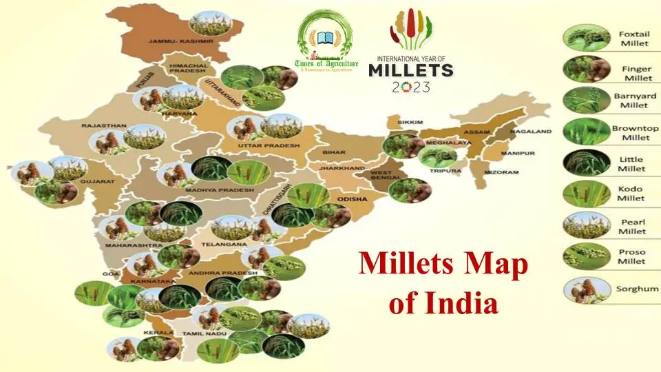Millets Map of India