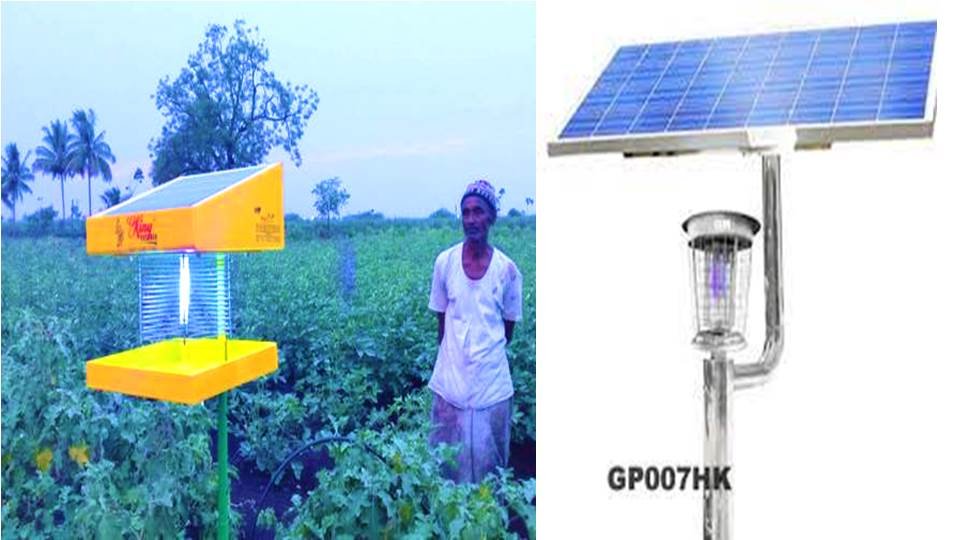 Solar lighting for insects