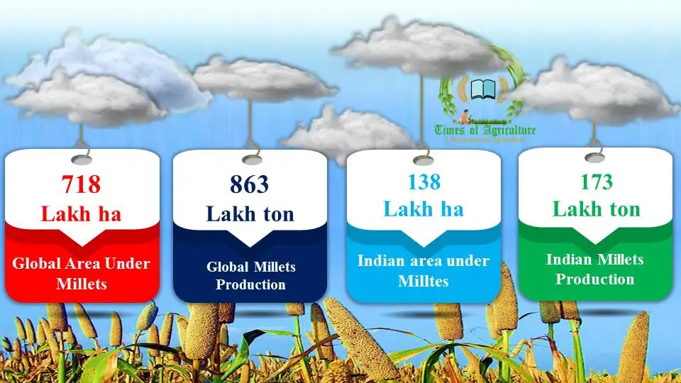 millets production in india