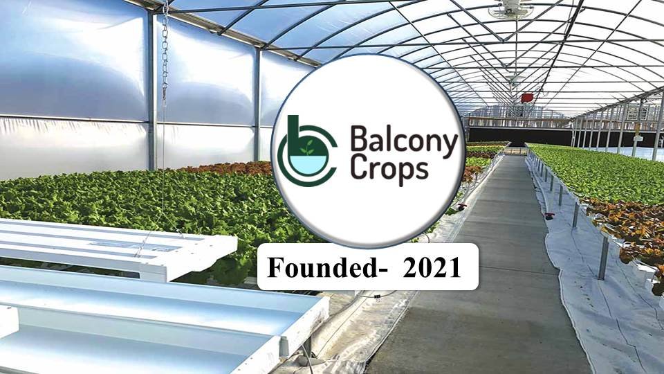 Balcony Crops -Hydroponics Companies in India