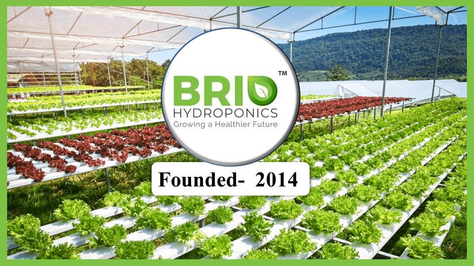 Brio Hydroponics -Hydroponics Companies in India