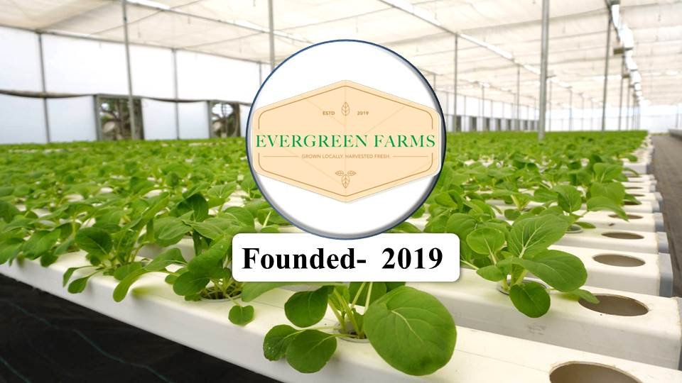 Evergreen Farms -Hydroponics Companies in India