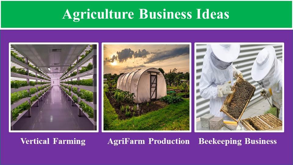 Vertical Farming , AgriFarm Production, Beekeeping Business-Agriculture Business Idea