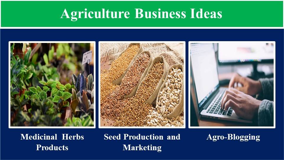 Medicinal Herbs Products, Seed Production and Marketing, Agro-Blogging- Agriculture Business Ideas