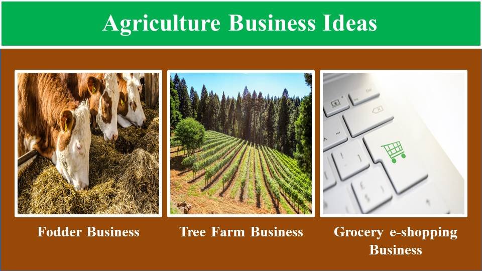 Fodder Business, Tree Farm Business, Grocery e-shopping Business- Agriculture Business Ideas
