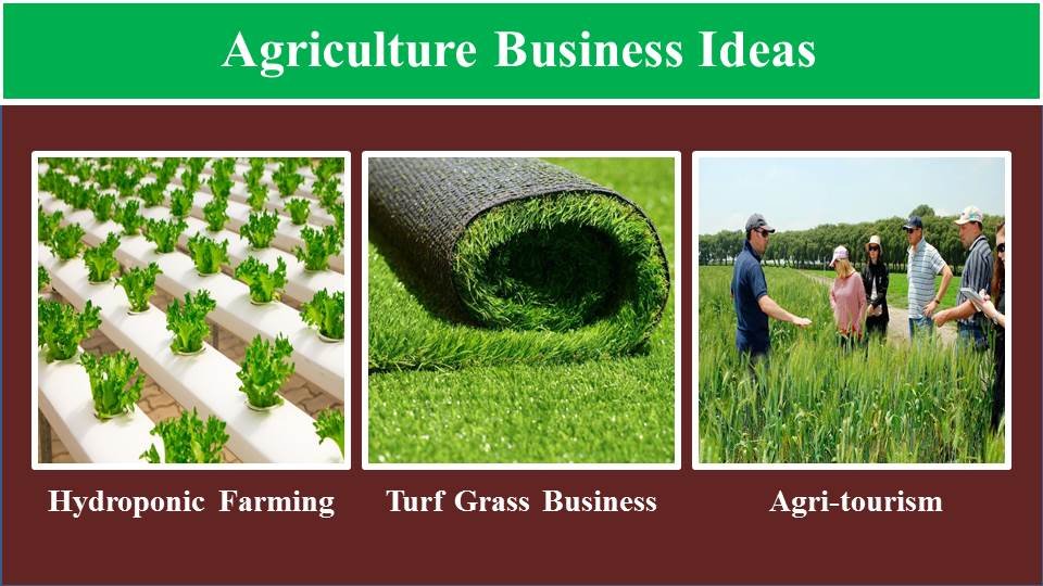 Hydroponic Farming, Turf Grass Business, Agri-tourism - Agriculture Business Idea