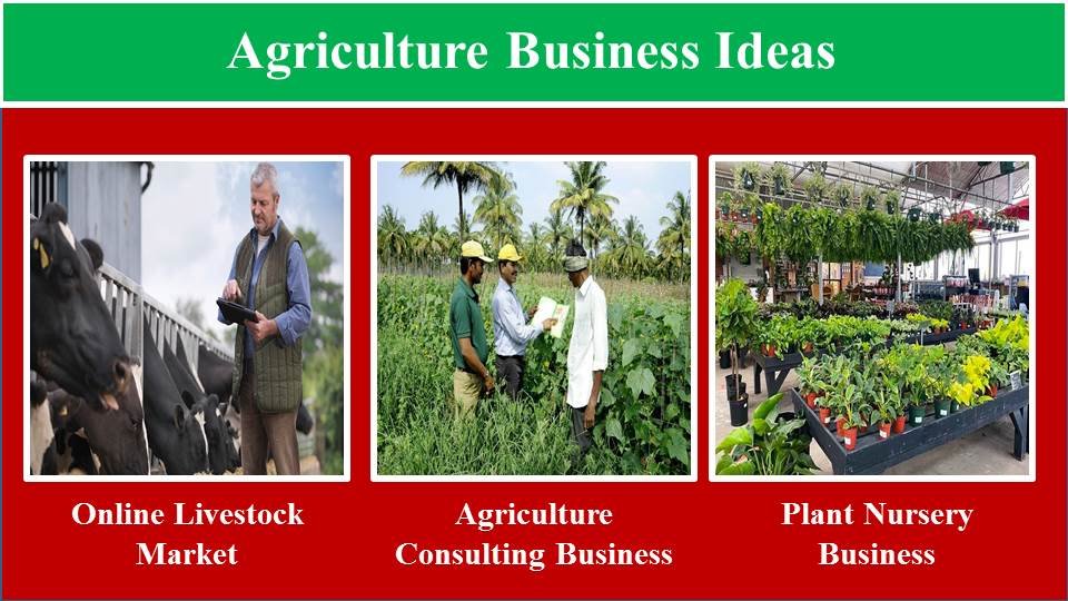 Online Livestock Market, Agriculture Consulting Business, Plant Nursery Business- Agriculture Business Idea