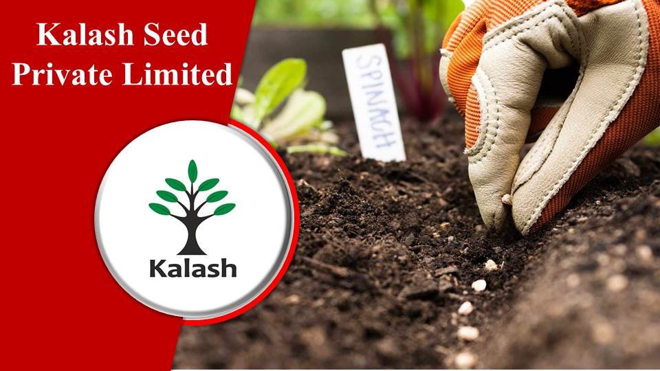 Kalash Seed Private Limited