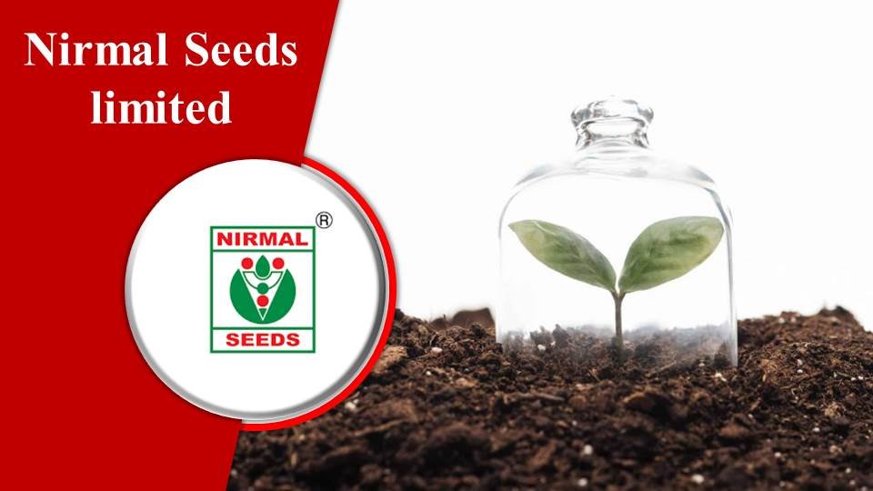 Nirmal Seeds limited-Seed companies in India