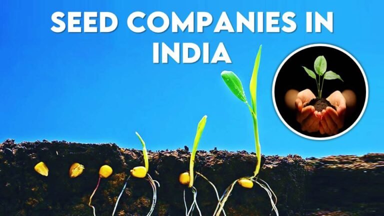 Seed companies in India