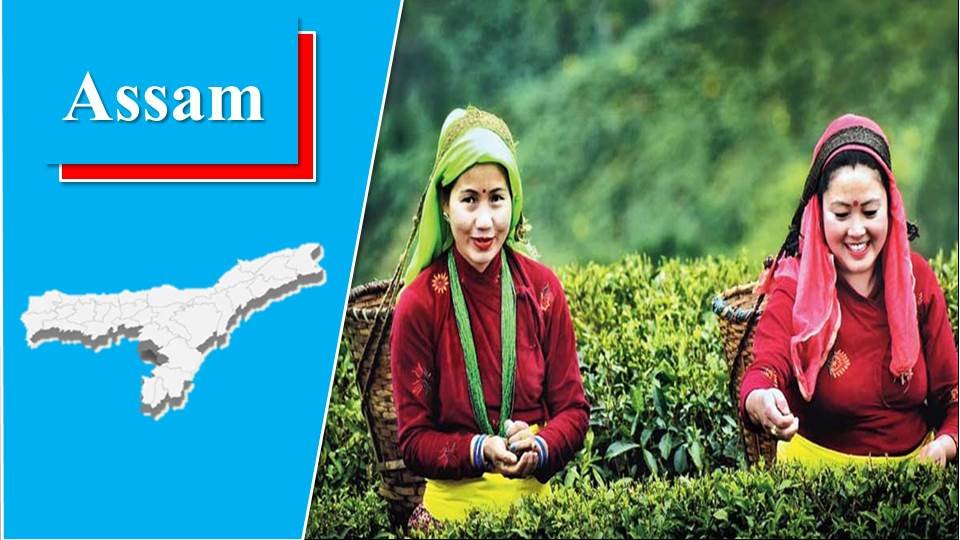 Assam - Tea Producing States in India