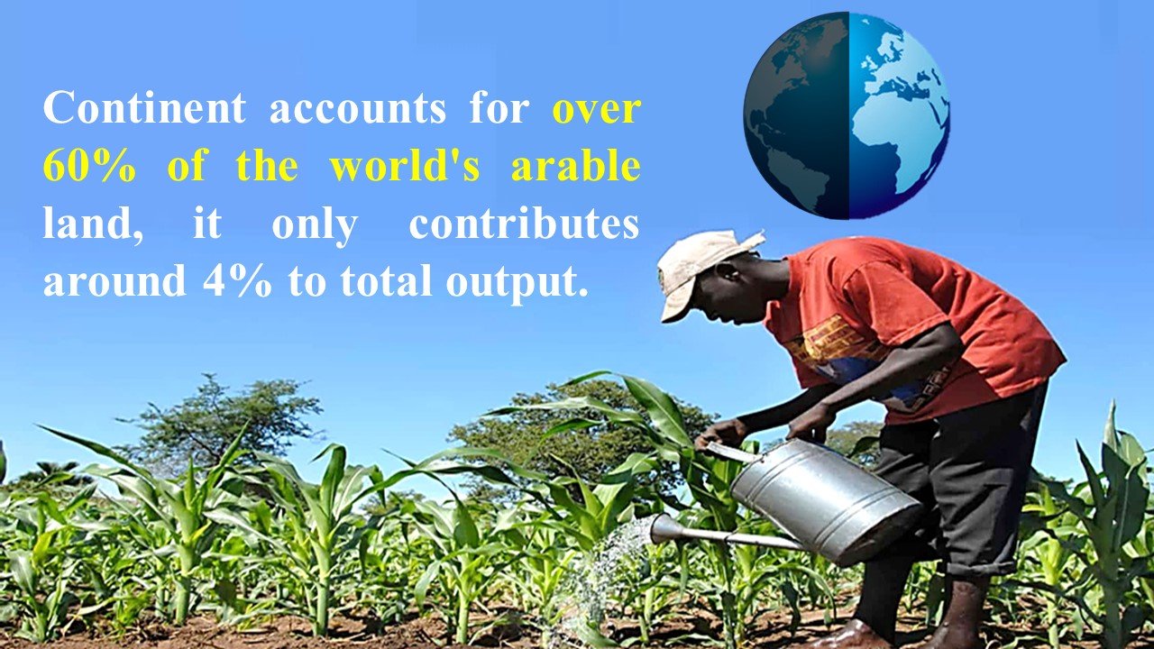 Feeding A Continent Against The Odds Addressing Challenges of