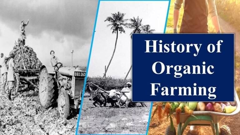 History of Organic Farming in India