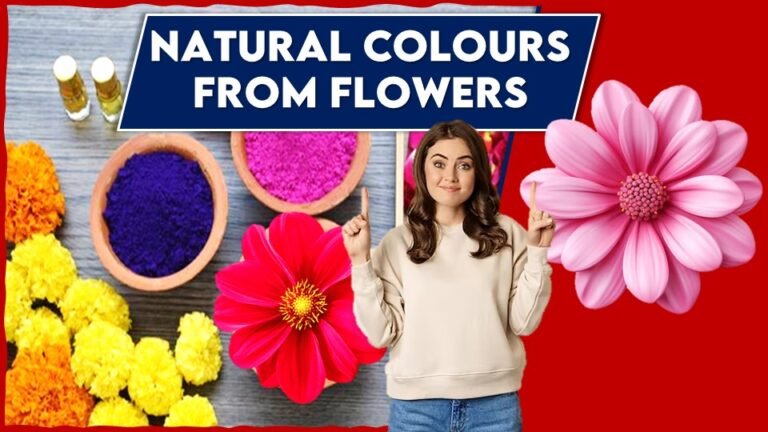How to Make Natural Colours From Flowers : Exploring Natural Colours