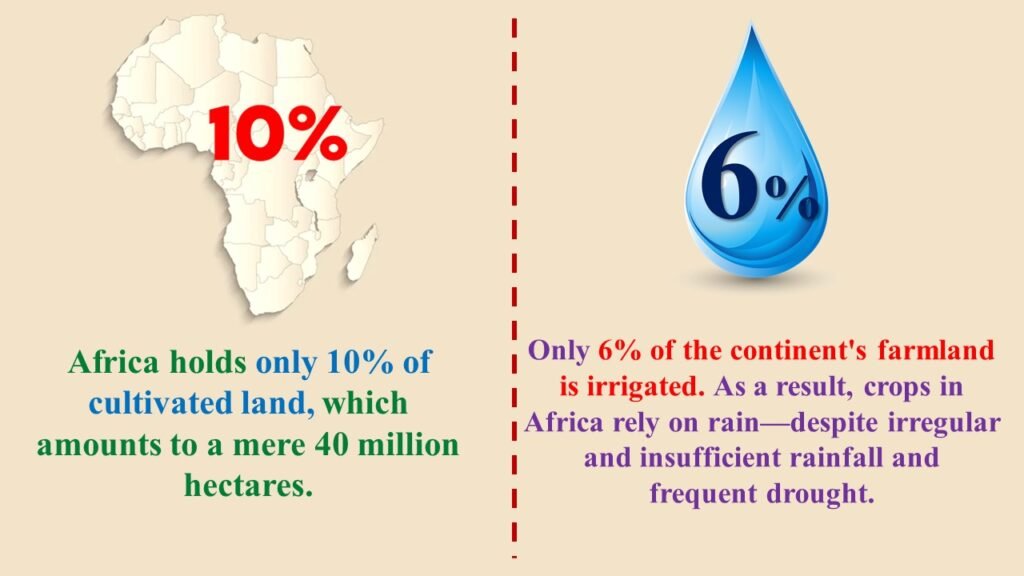 status of agriculture sector in Africa 