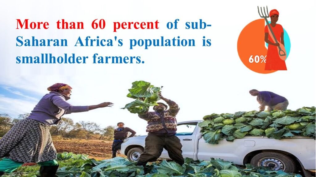 status of Agriculture in Africa 