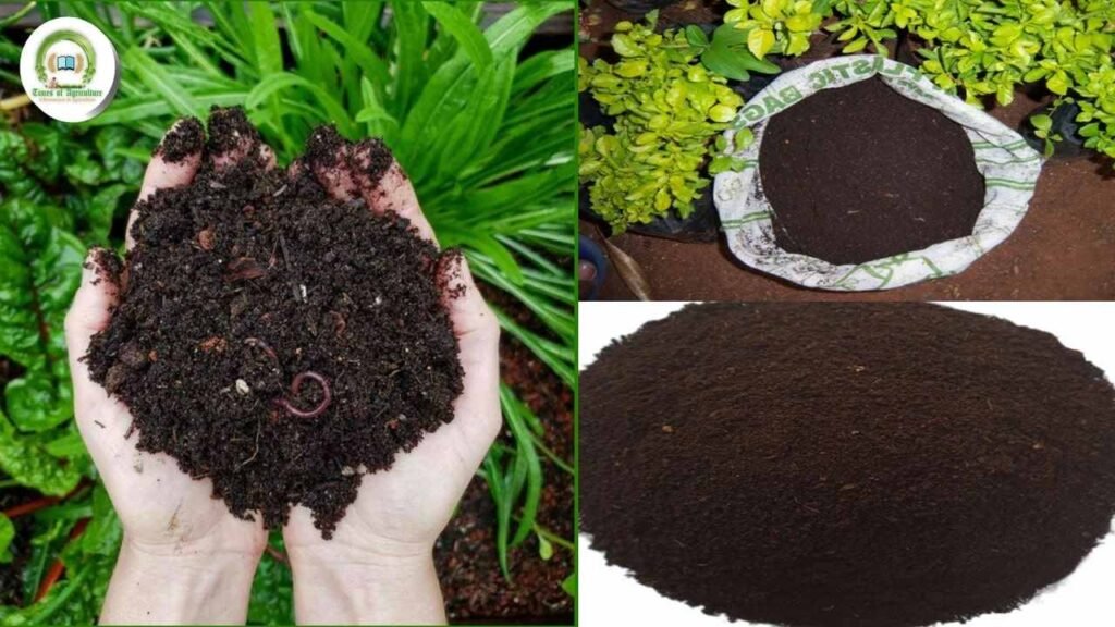 different forms of vermicompost