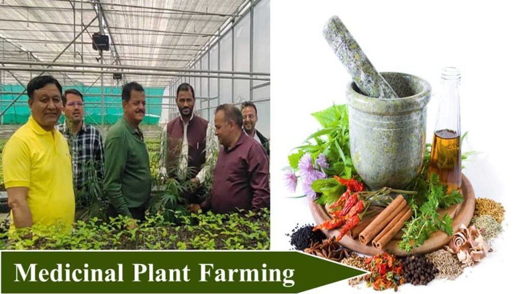 most profitable medicinal plants farming in India