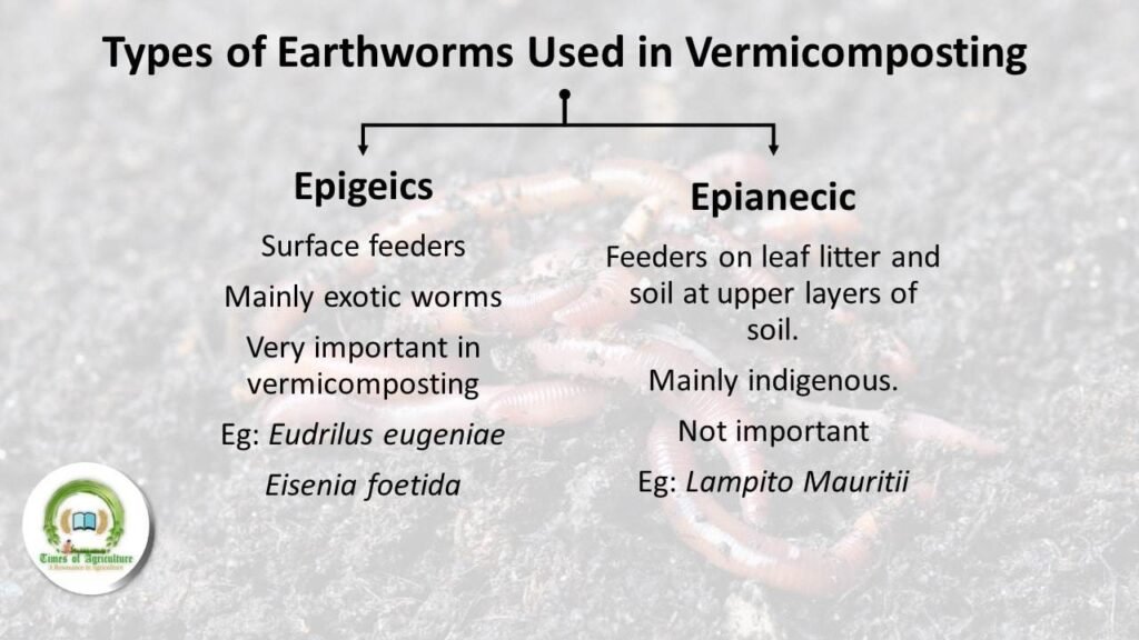 types of earthworms