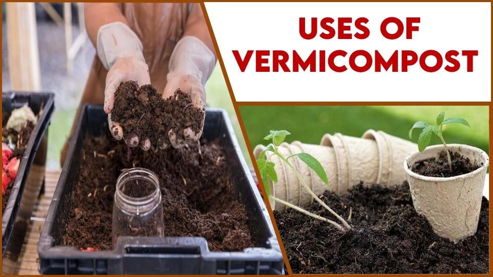 USES OF VERMICOMPOST