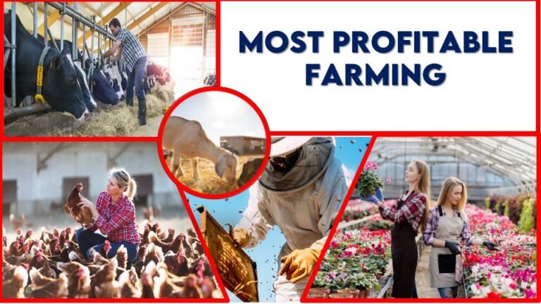 most profitable farming in India