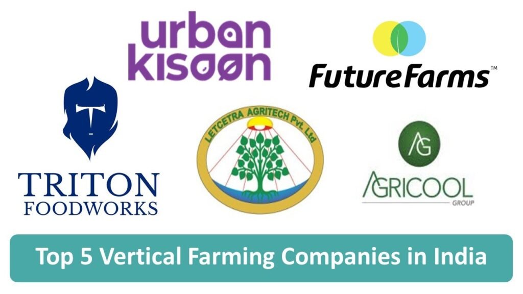 top 5 vertical farming companies in India