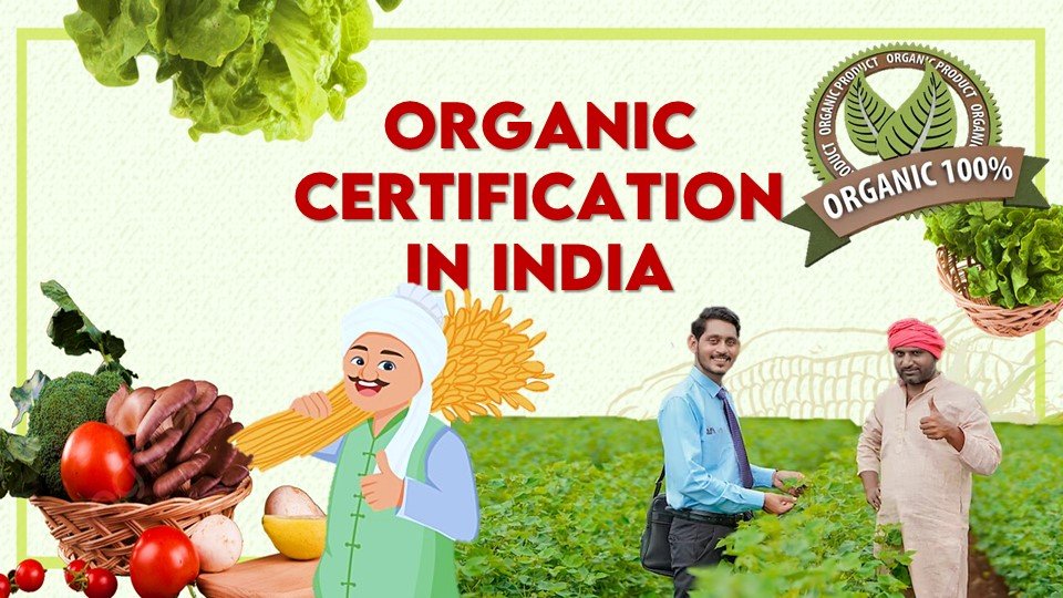 Organic Certification in india