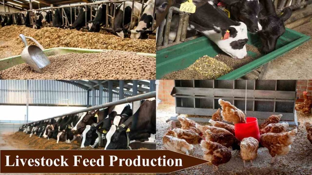 Livestock Feed Production | Small Farm Business Ideas