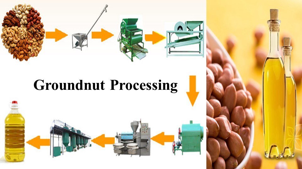 Groundnut Processing | Farming Business Ideas