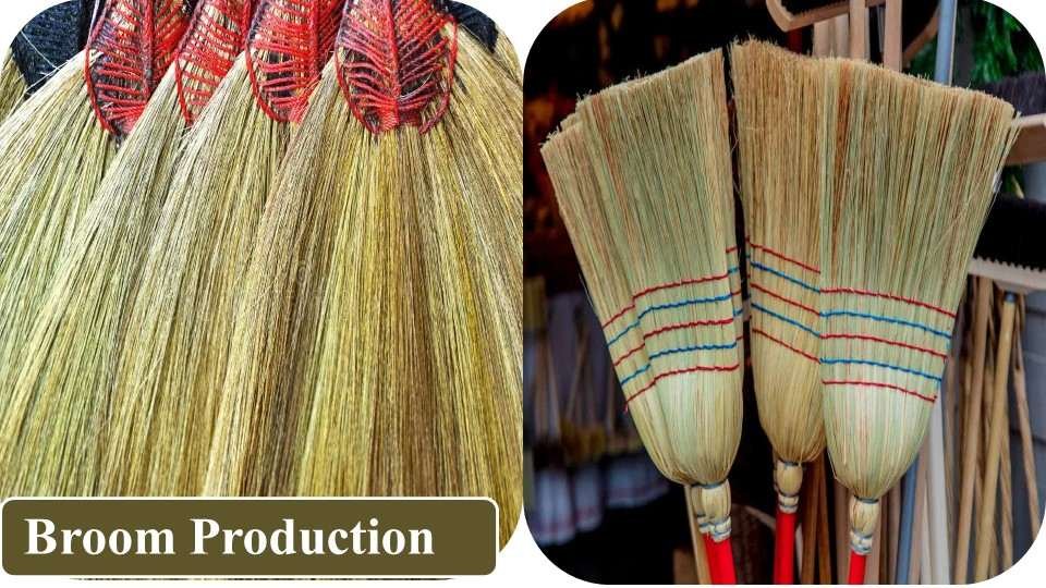 Broom Production | Farming Business Ideas