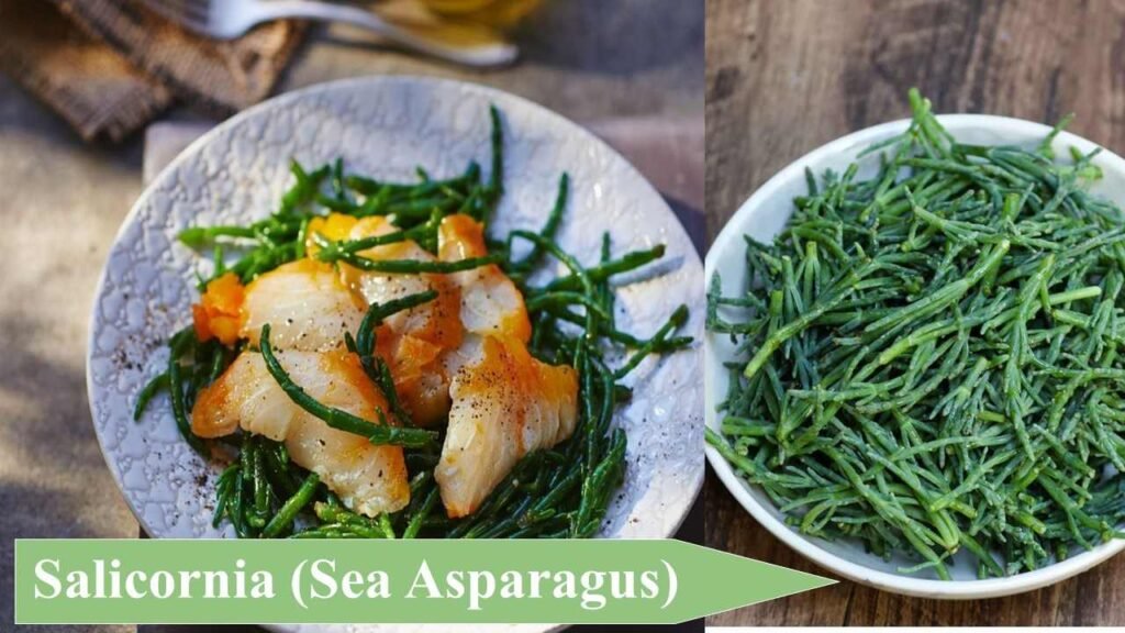 16. Salicornia (Sea Asparagus) | low investment high profit crops