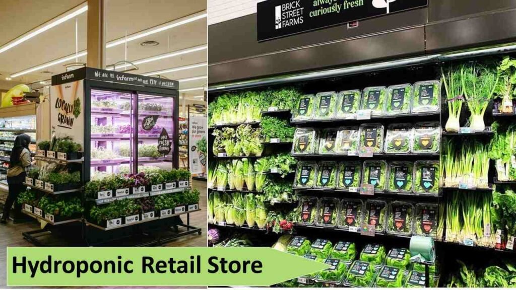 Hydroponic Retail Store | Money Making Agriculture Business Ideas