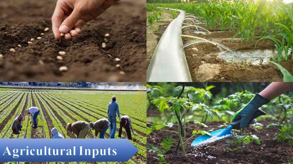 Agricultural Inputs | Is Organic Farming Profitable?